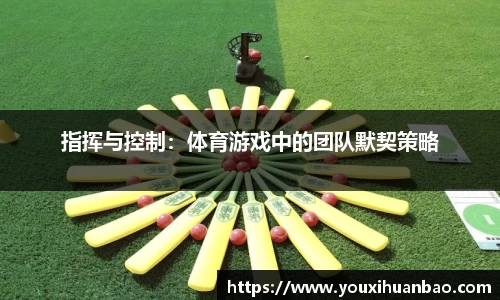 3377体育